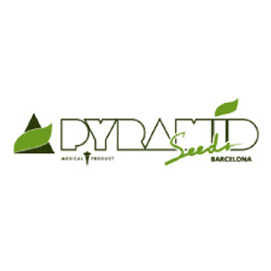 PYRAMID SEEDS