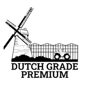 DUTCH GRADE