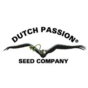 DUTCH PASSION