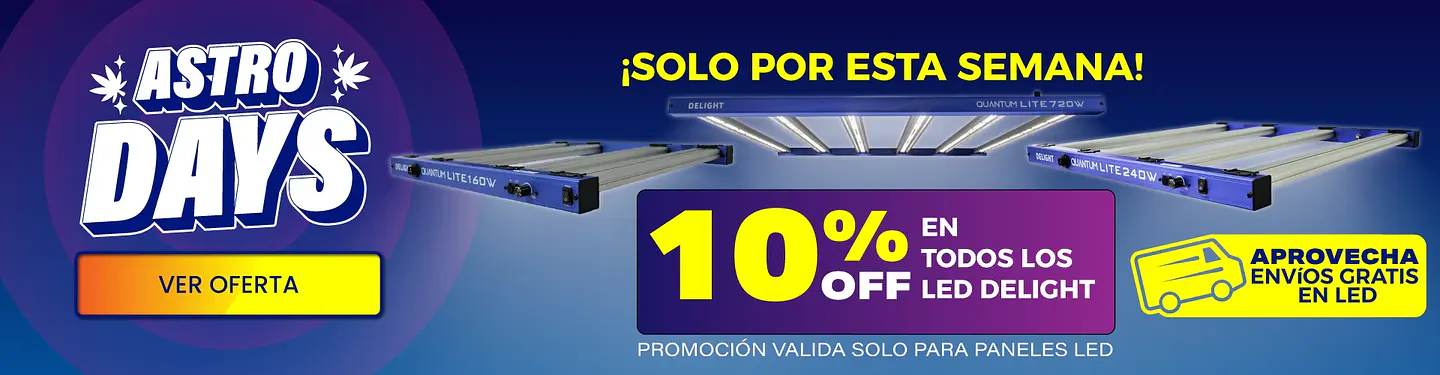 Título del Slide