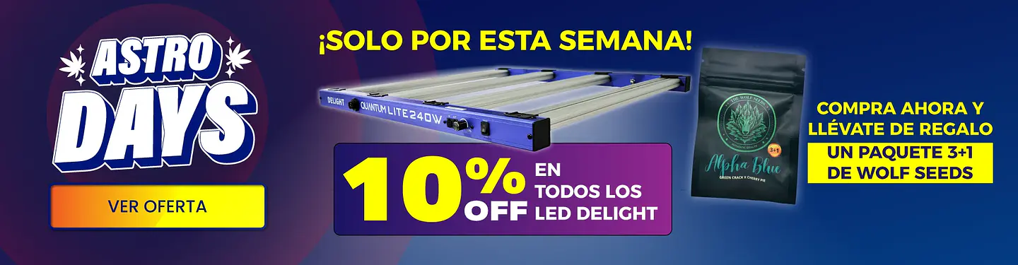 Título del Slide