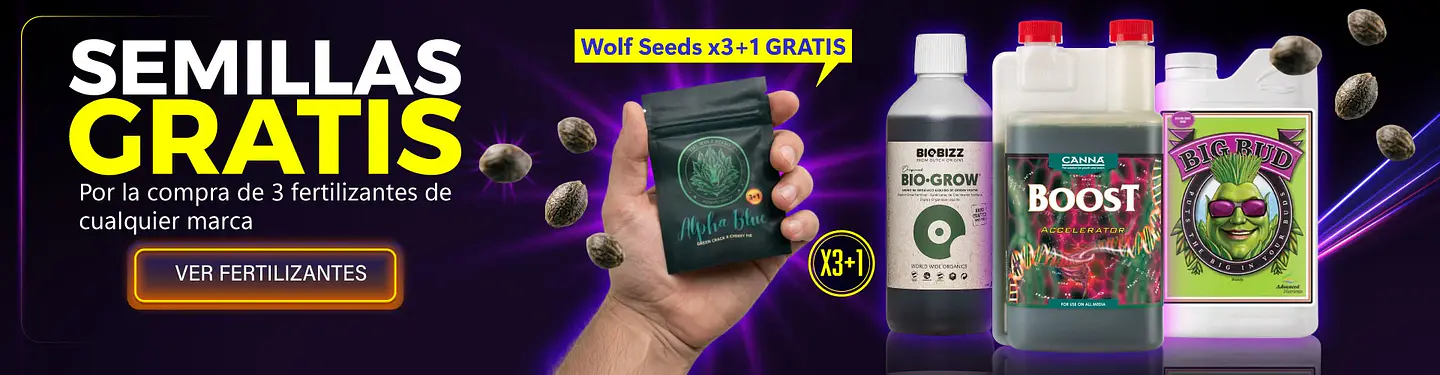 promo semilla gratis