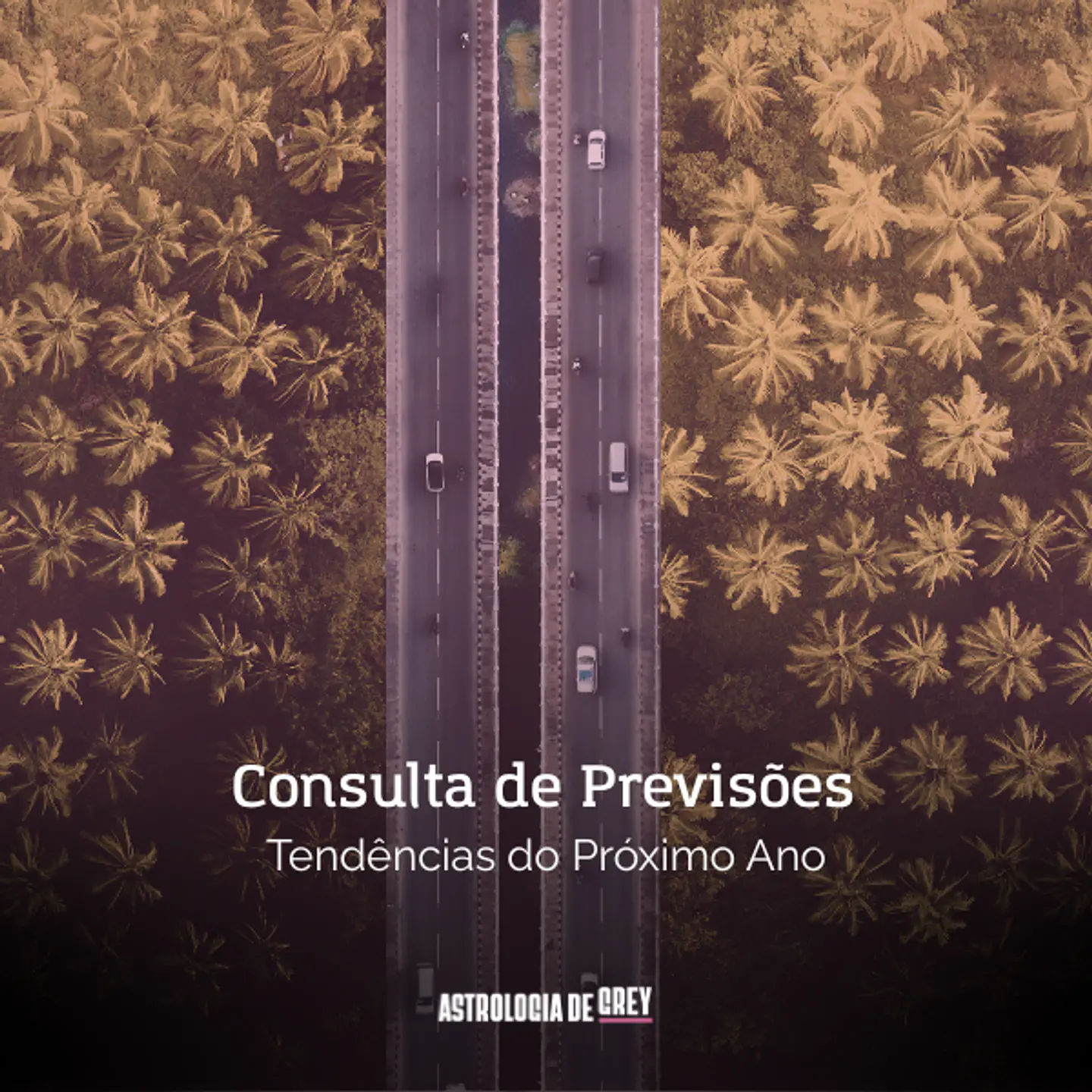 CONSULTA DE PREVISÕES 1