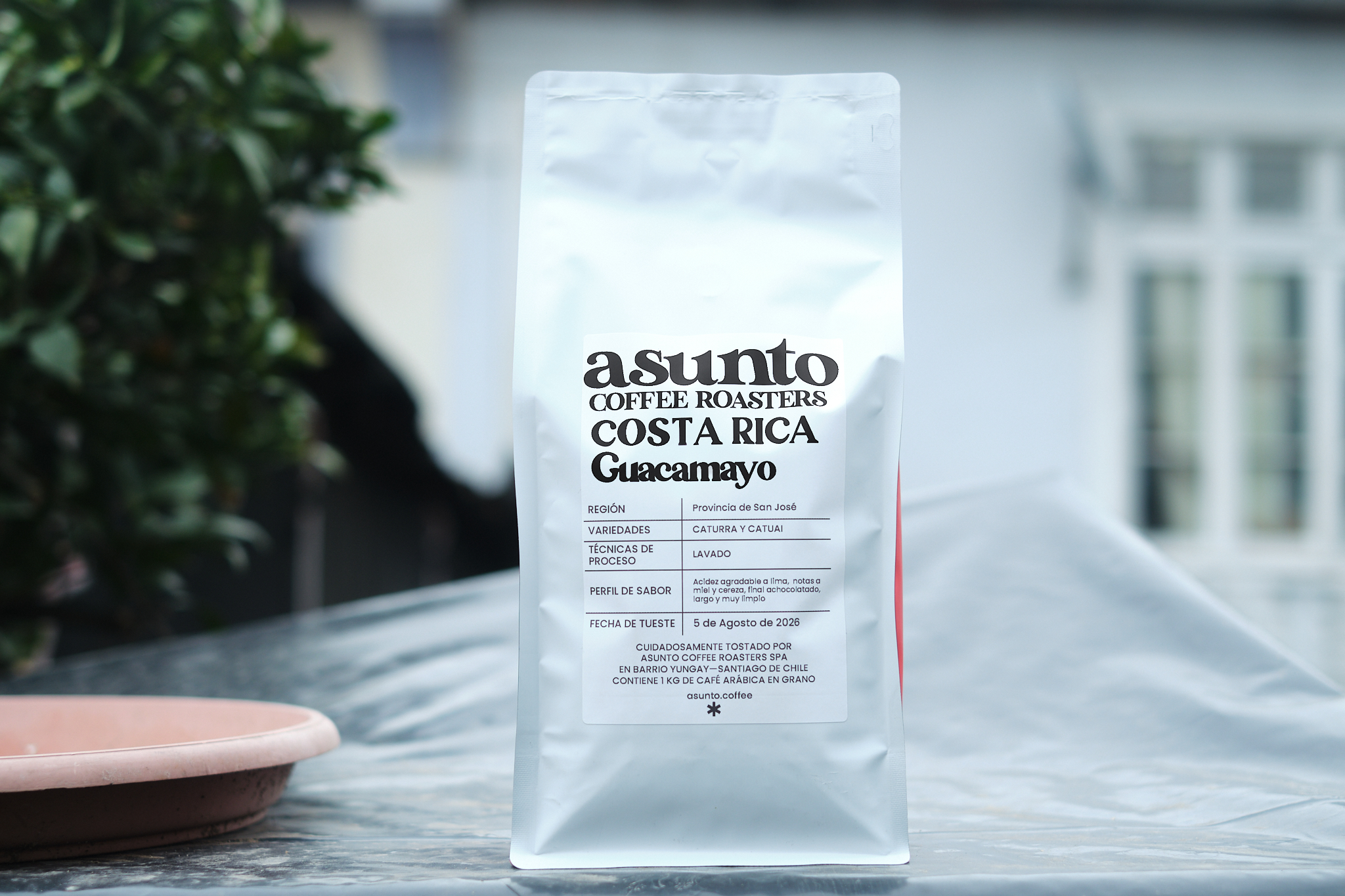 Costa Rica Guacamayo - 250 Gr