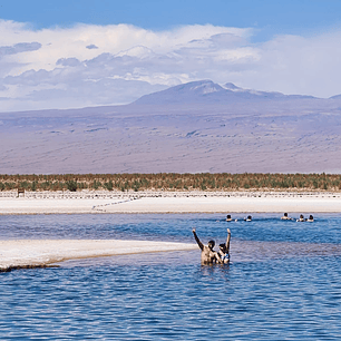 Laguna Cejar - Catálogo INFINITY