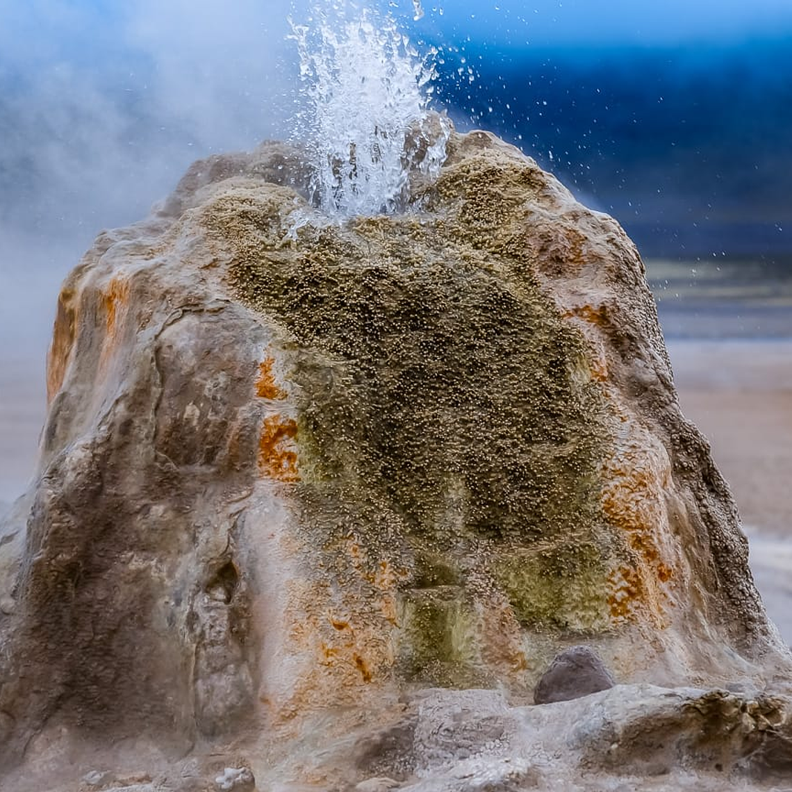 Geyser del Tatio - Catálogo INFINITY 2