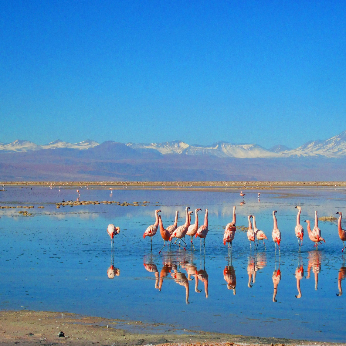 Piedras Rojas Full Day - Catálogo INFINITY 3