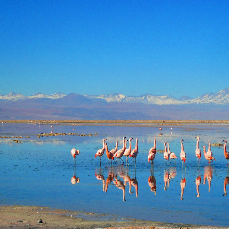 Piedras Rojas Full Day - Catálogo INFINITY 3