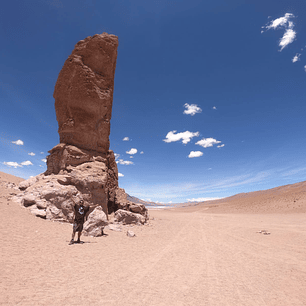 Ruta de los Salares Half Day - Catálogo INFINITY