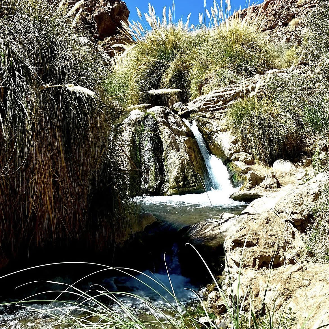 Trekking Puri Libre - Catálogo INFINITY 1