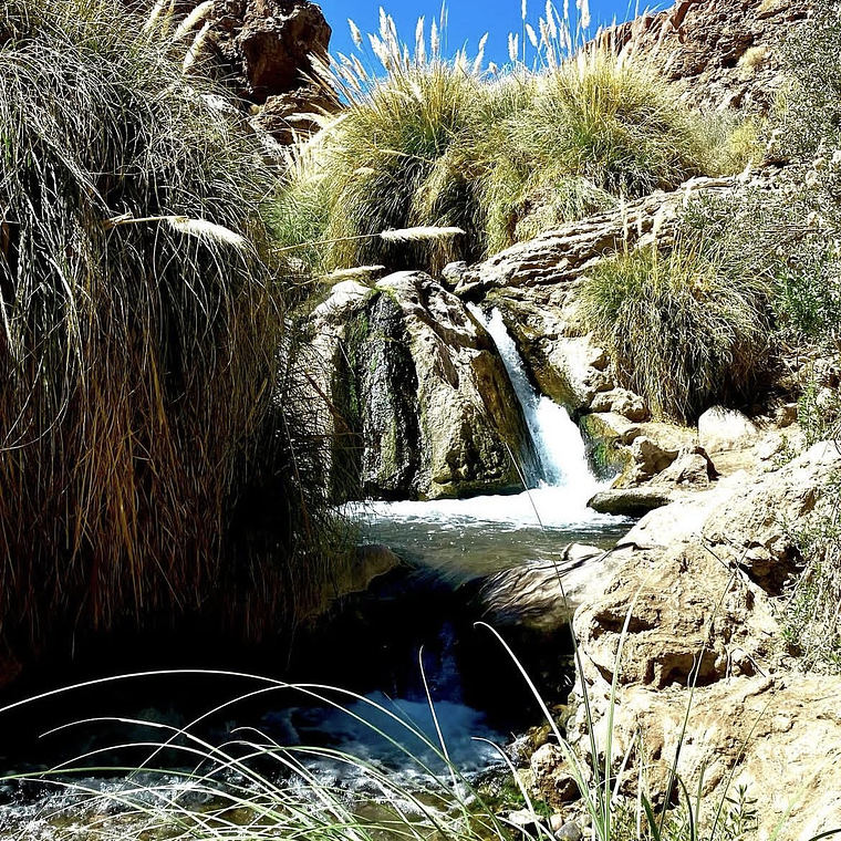 Trekking Puri Libre - Catálogo INFINITY 1