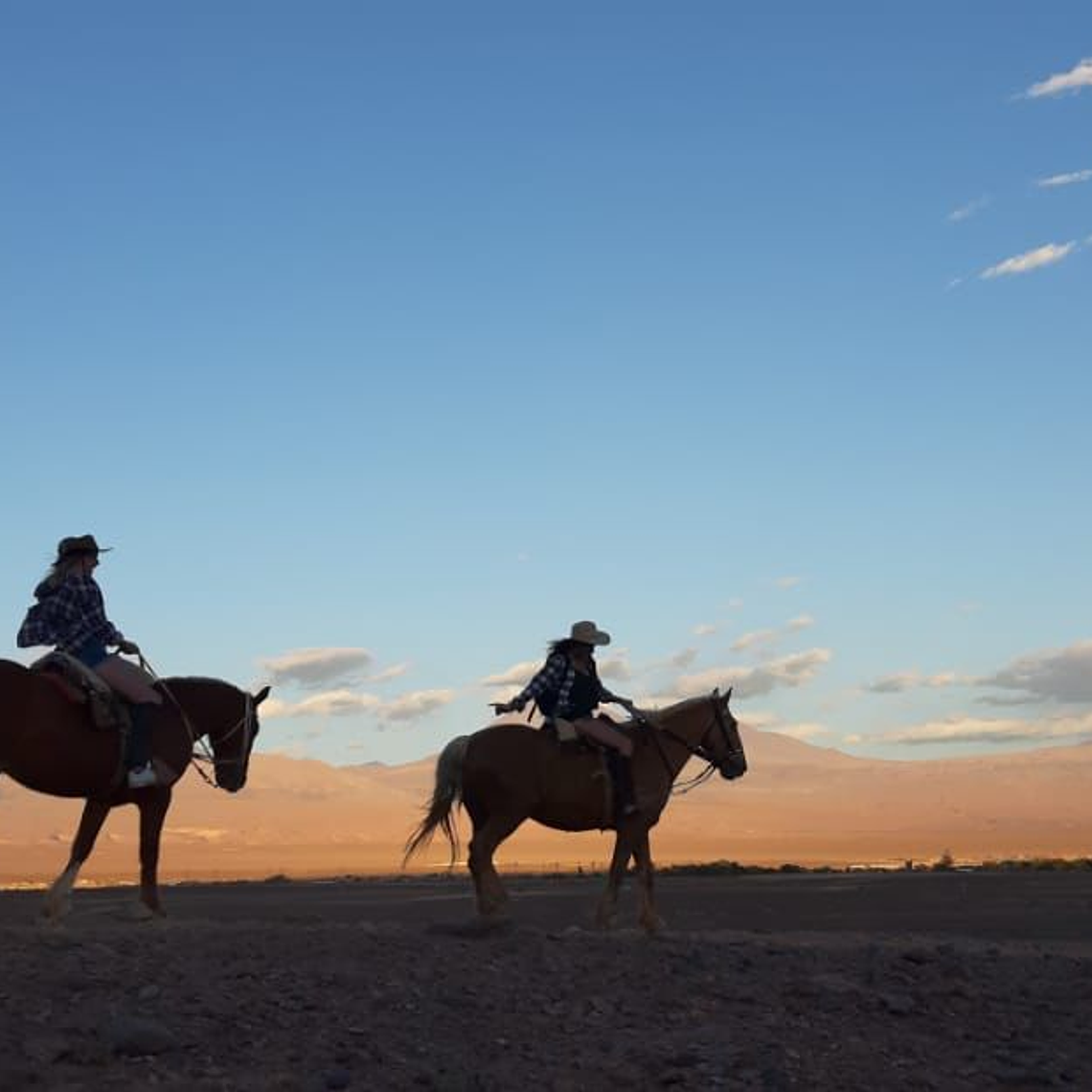 Cabalgatas - Catálogo INFINITY 1
