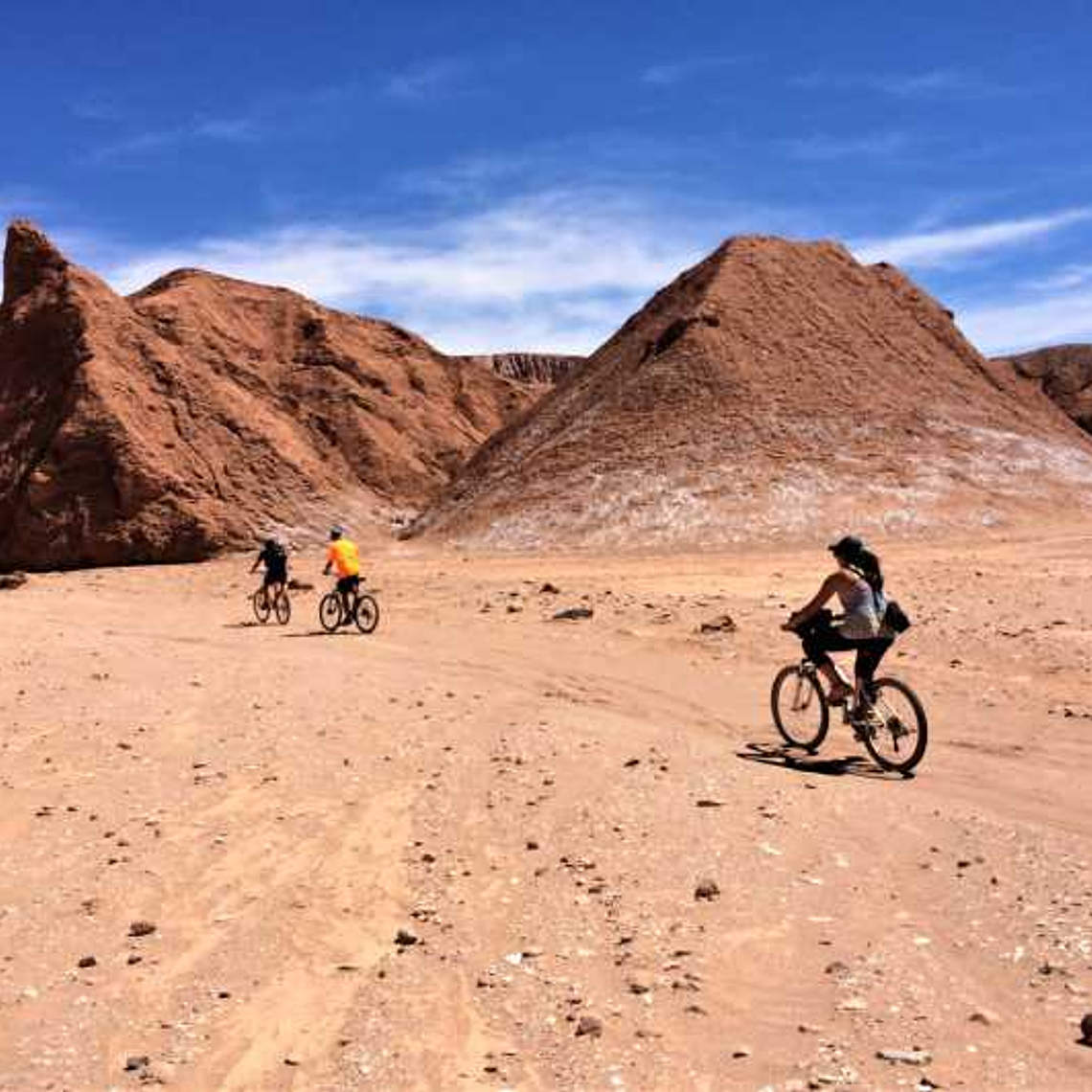 Biker - Catálogo INFINITY 1