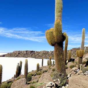 Salar de Uyuni, Bolivia 4D/3N - Con regreso a Chile.