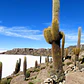 Salar de Uyuni, Bolivia 4D/3N - Con regreso a Chile. - Miniatura 1