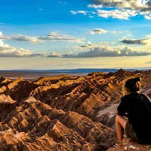 Valle de la Luna - Tour + ticket.