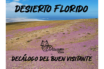 Let's take care of our Florid Desert