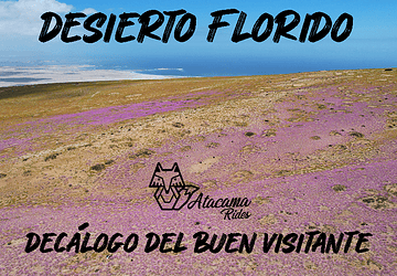 Let's take care of our Florid Desert