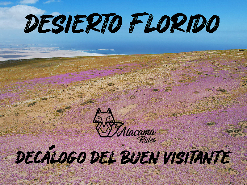 Cuidemos nuestro Desierto Florido