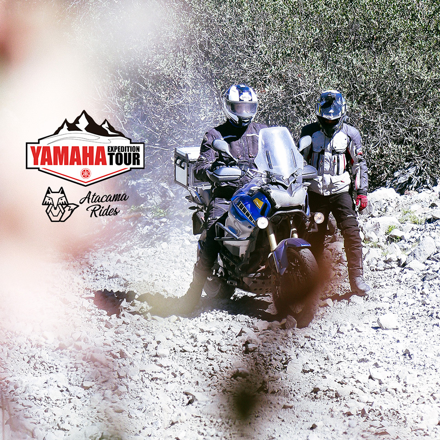 Yamaha Expedition The Truffle Route 2