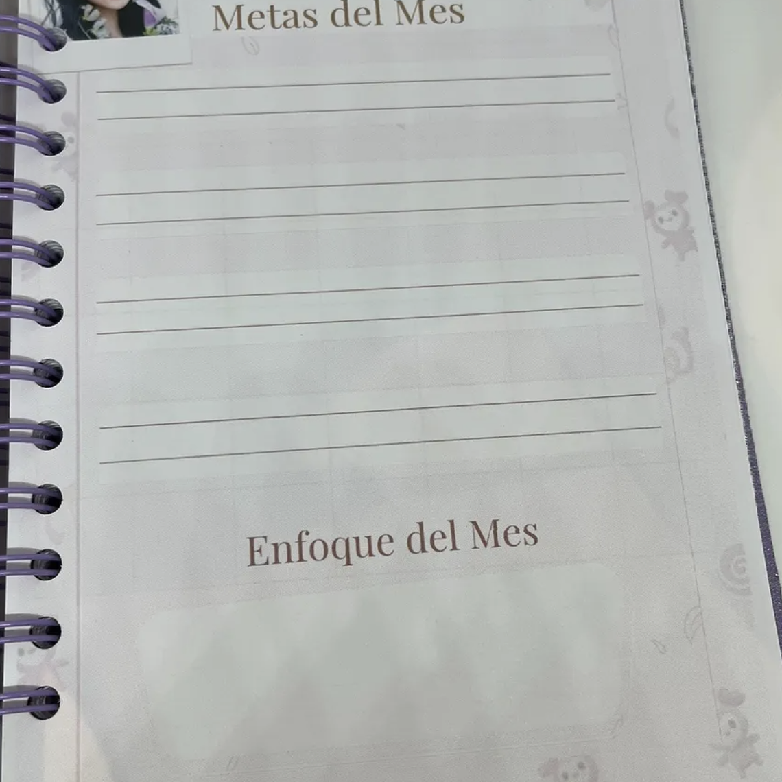 Mi Planner TWICE 3