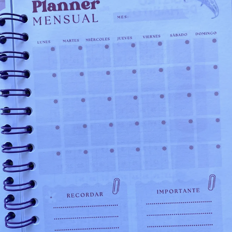 Mi Agenda Katseye 4