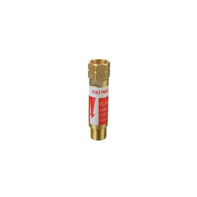 Valvula Antirretroceso Gas (Regulador)  (288L-C) 1