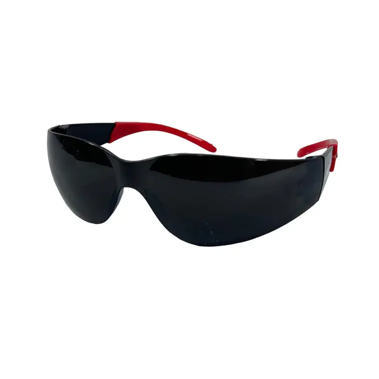 Lentes Seguridad Basicos IN-OUT ( LS-IN-OUT-N) 1