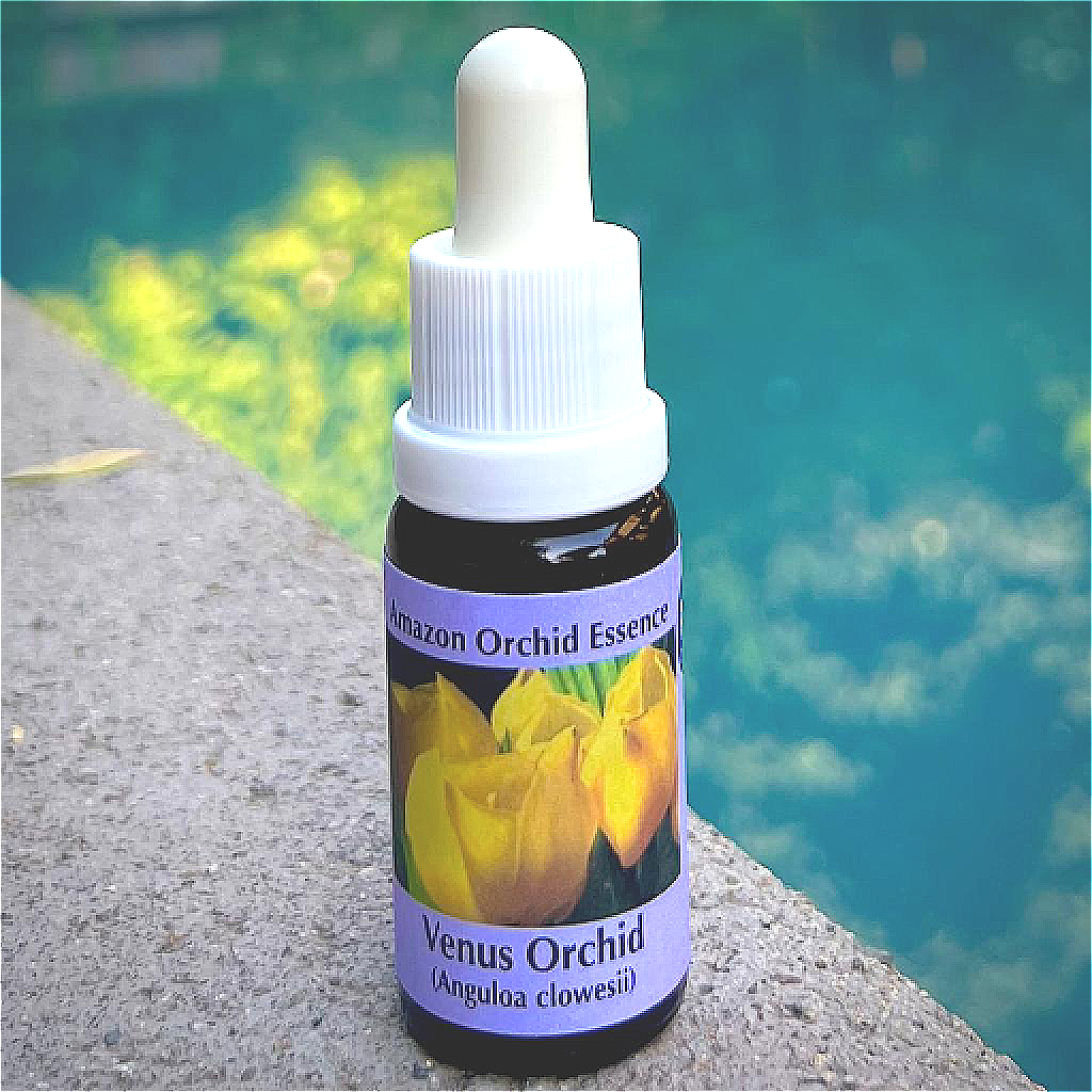 Orquídea Venus