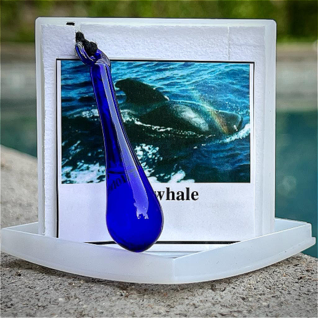 Colgante Ballena
