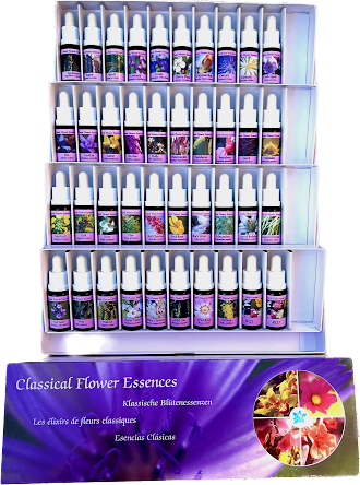 SET FLORES DE BACH