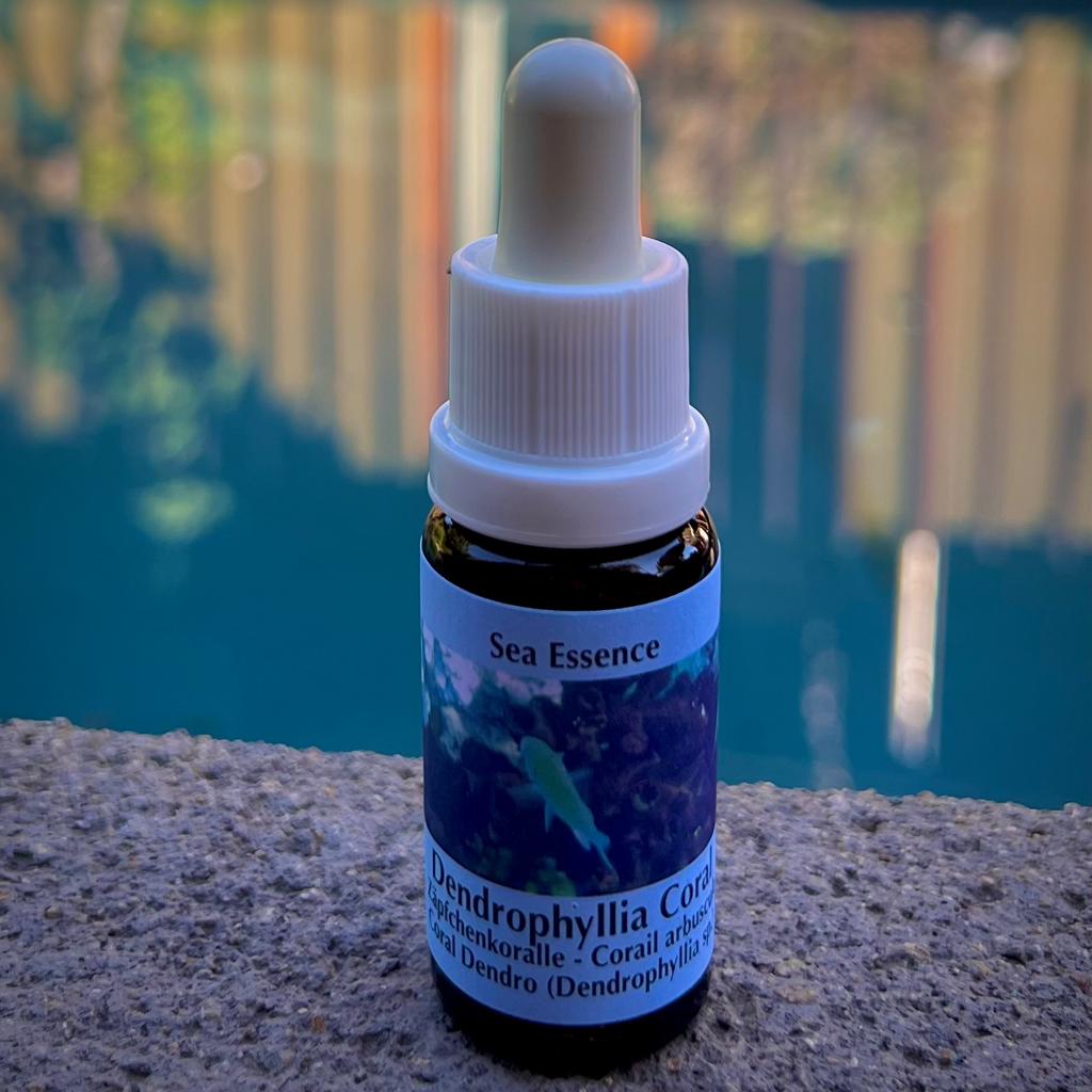 Coral Dendrophyllia