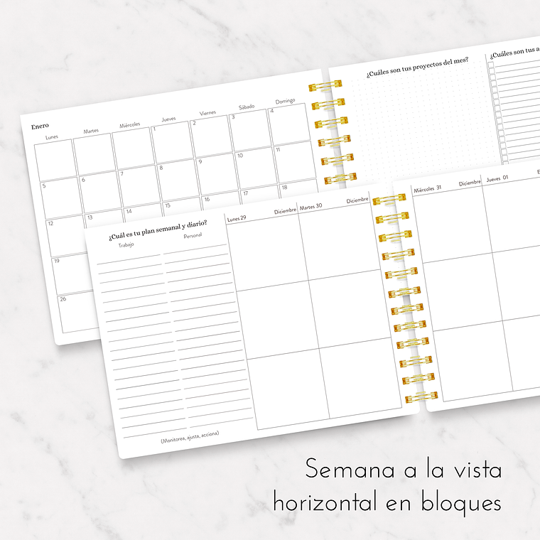 Malva Sparks Classic 2026 4