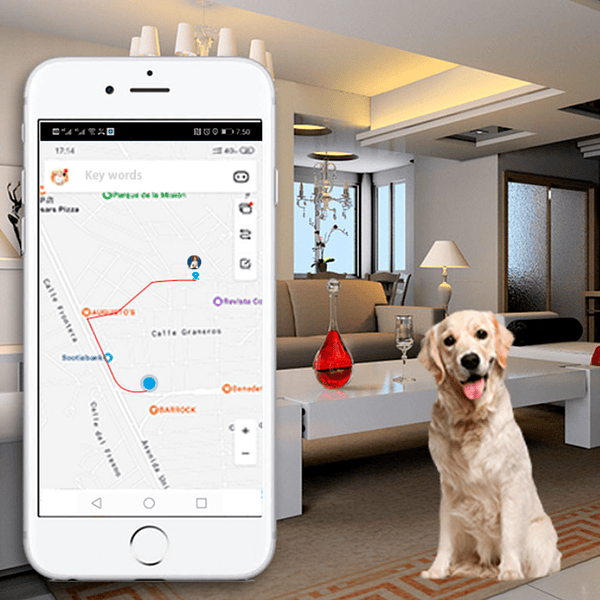 Rastreador GPS 4G para Mascotas (19)