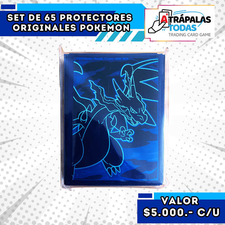 Protectores | Pokémon 2