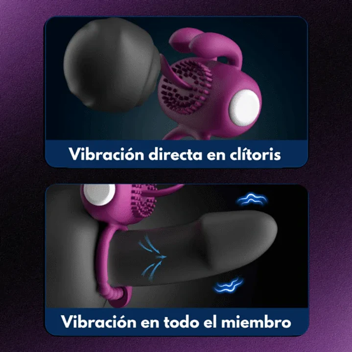 Anillo Vibrador Denver LILO  4