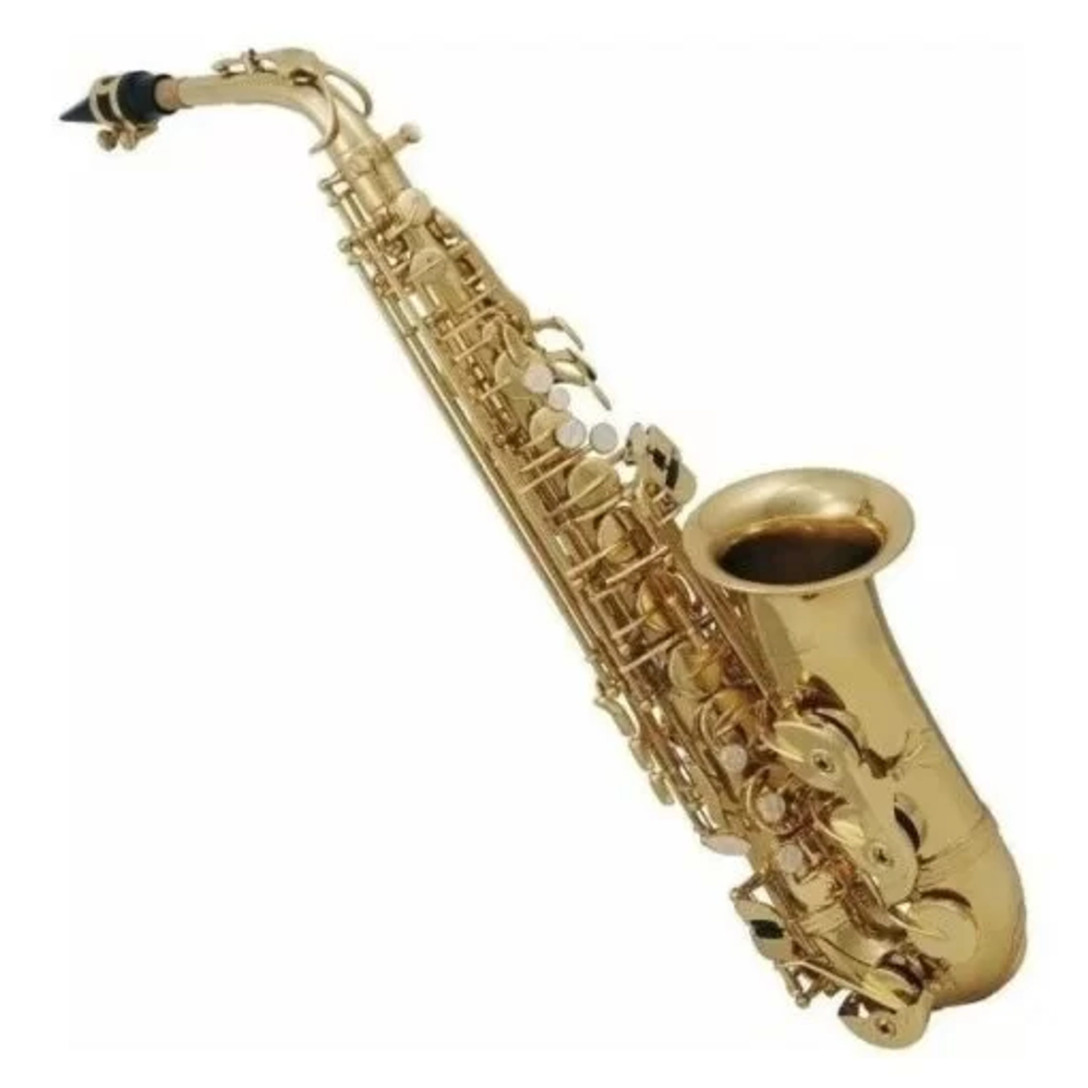 SAXO ALTO FT 6430 DORADO C/ESTUCHE 1
