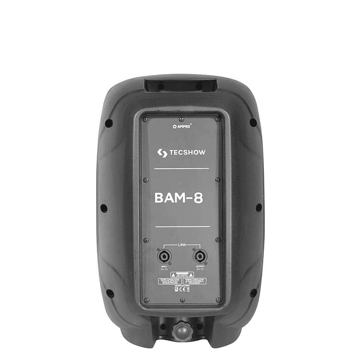 BAM 8, Caja Pasiva 8″ TECSHOW 2