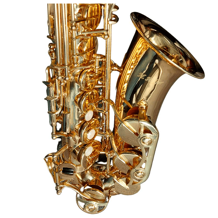 Saxofón Alto Estudiante HAS100 – Hoffer 2