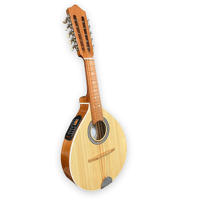 Mandolina 10 cuerdas natural Electroacustica 1