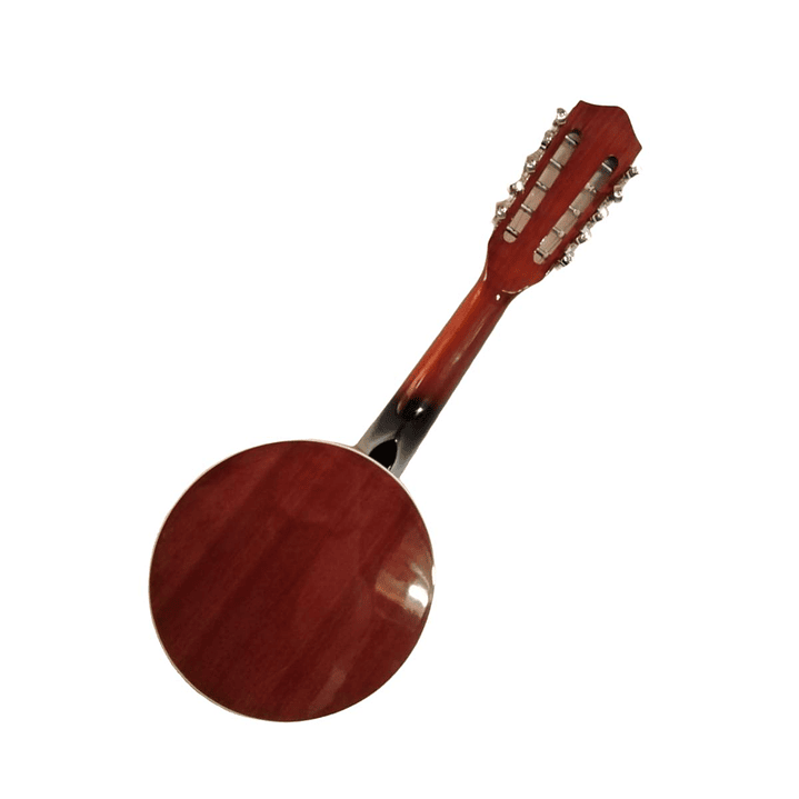 Banjo 10C con funda Rowell YWBJ-10 3