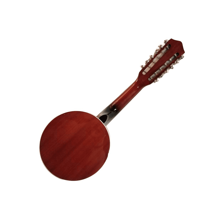 Banjo 12C con funda Rowell YWBJ-12 2