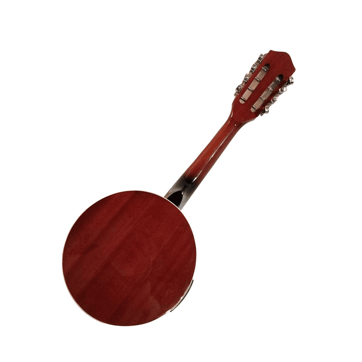 Banjo 8C con funda electroacústico Rowell YWBJ-08EL 2