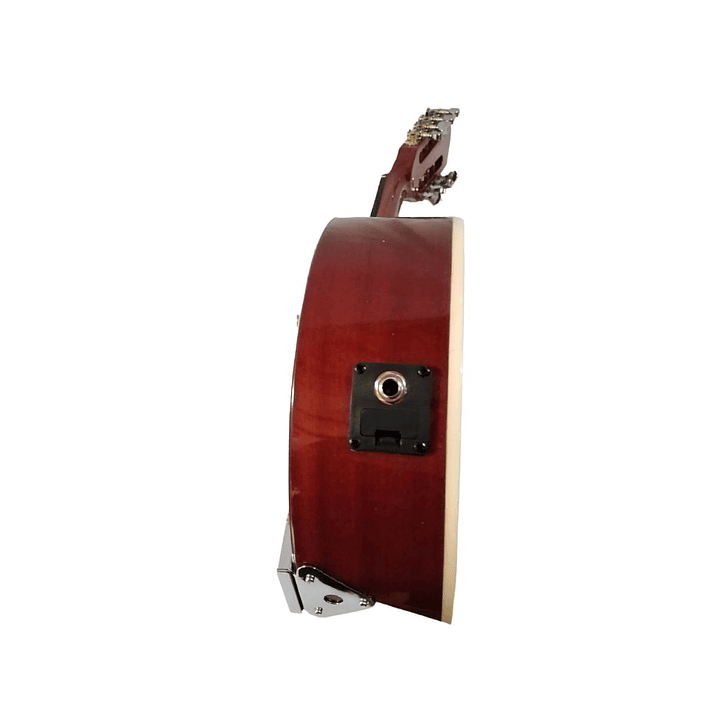 Banjo 8C con funda electroacústico Rowell YWBJ-08EL 4