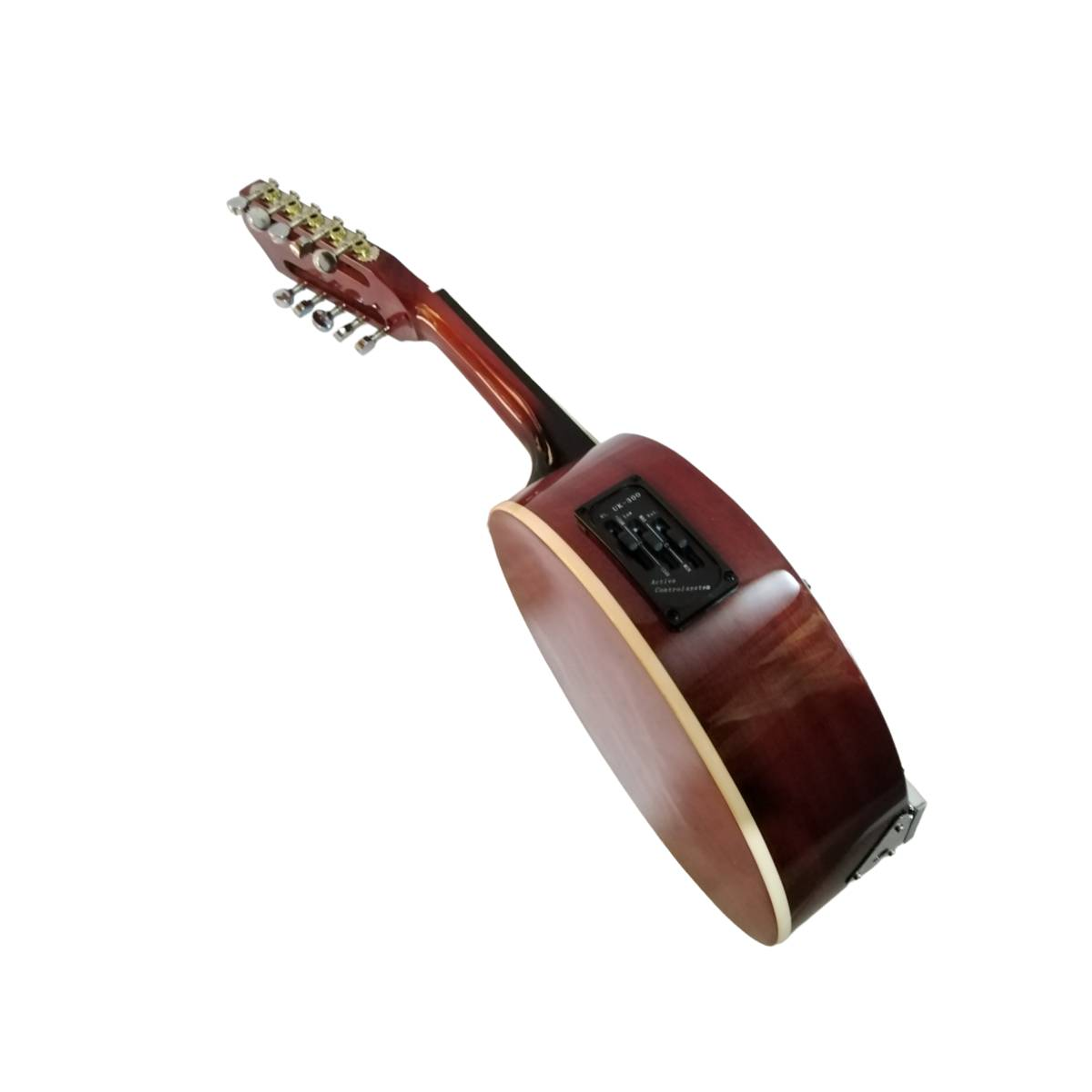 Banjo 10C con funda electroacústico Rowell YWBJ-10EL 3