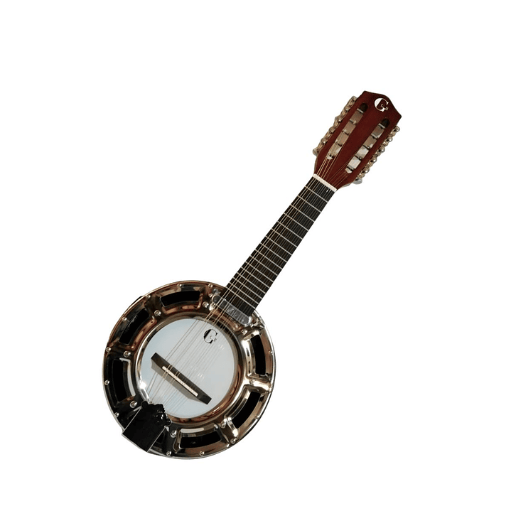 Banjo 10C con funda electroacústico Rowell YWBJ-10EL 1