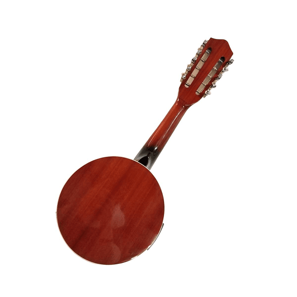 Banjo 10C con funda electroacústico Rowell YWBJ-10EL 4