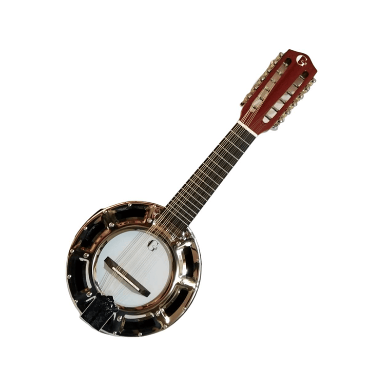 Banjo 12C con funda electroacústico Rowell YWBJ-12EL 1