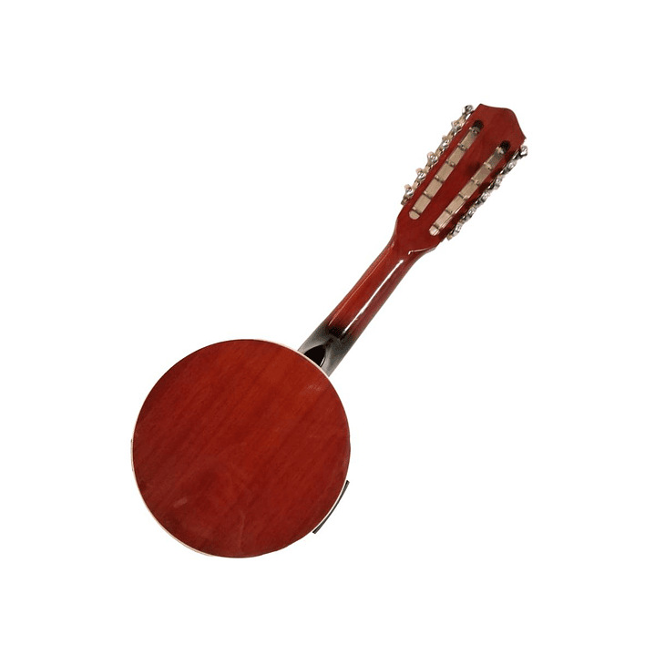 Banjo 12C con funda electroacústico Rowell YWBJ-12EL 2