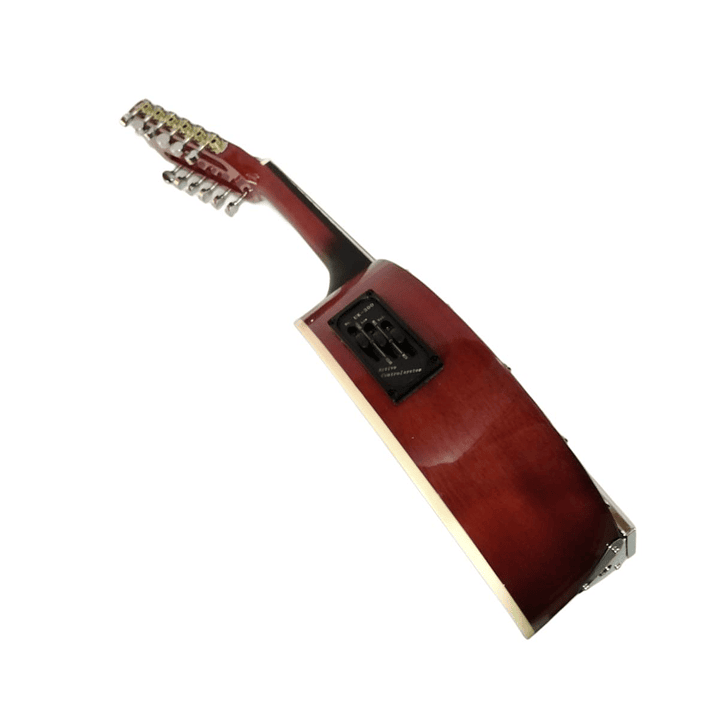 Banjo 12C con funda electroacústico Rowell YWBJ-12EL 3